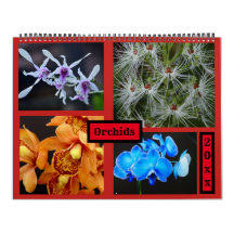 Calendrier mural d'orchidées