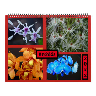 Calendrier mural d'orchidées