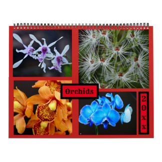 Calendrier mural d'orchidées