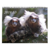 Calendrier Mural Douze singes (Protection)