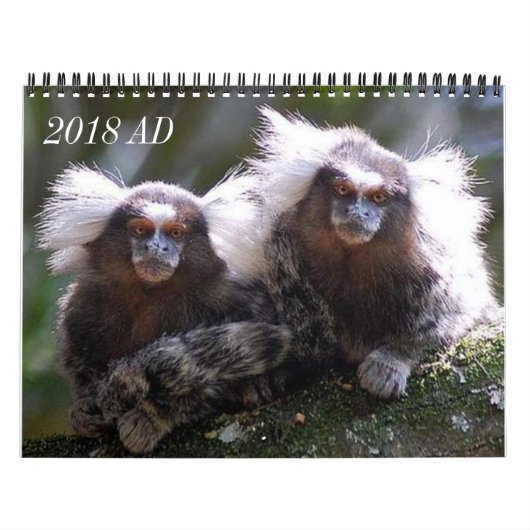 Calendrier Mural Douze singes (Protection)