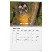 Calendrier Mural Douze singes (Feb 2026)