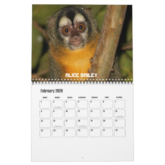 Calendrier Mural Douze singes (Feb 2026)