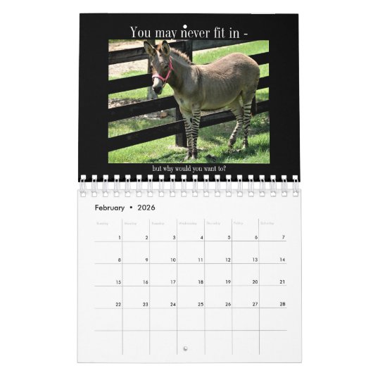 Calendrier Mural Échec et absurdité Anti-de motivation (Feb 2026)