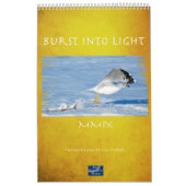 Calendrier Mural Éclat de lumière (Protection)