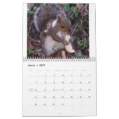 Calendrier Mural Écureuil (Mar 2027)