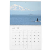 Calendrier Mural Épaulards résidents du sud (Mar 2027)