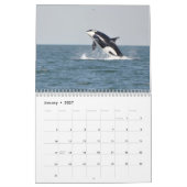 Calendrier Mural Épaulards résidents du sud (Jan 2027)