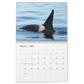Calendrier Mural Épaulards résidents du sud (Feb 2027)
