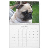 Calendrier Mural Équipe le meilleur ami (Mar 2027)