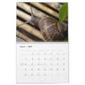 Calendrier Mural Escargots (Mar 2027)