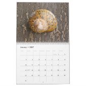 Calendrier Mural Escargots (Jan 2027)