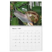 Calendrier Mural Escargots (Feb 2027)