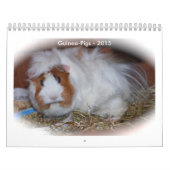 Calendrier Mural Étincelle (Protection)