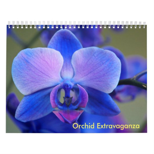 Calendrier Mural Extravaganza orchidée (Protection)