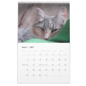 Calendrier Mural Faces de chat (Mar 2027)