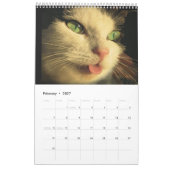 Calendrier Mural Faces de chat (Feb 2027)