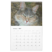 Calendrier Mural Faces de chat (Jan 2027)