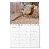 Calendrier Mural Fasane (Feb 2027)