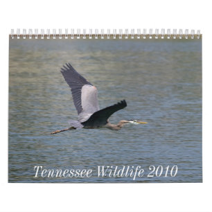 Calendrier Mural Faune 2010 du Tennessee