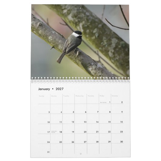 Calendrier Mural Faune 2010 du Tennessee (Jan 2027)