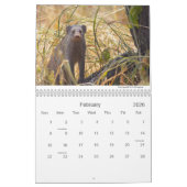 Calendrier Mural Faune 2011/12 de Mapungubwe NP RSA (Feb 2026)