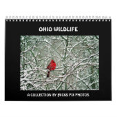 CALENDRIER MURAL FAUNE CALENDAR-A DE L'OHIO (Protection)
