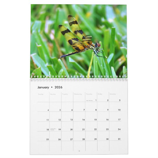 Calendrier Mural Faune de la Floride (Jan 2026)