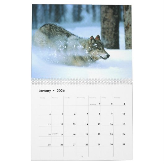 Calendrier Mural Faune de Yellowstone (Jan 2026)