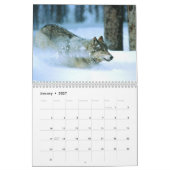Calendrier Mural Faune de Yellowstone (Jan 2027)