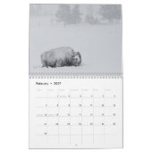 Calendrier Mural Faune de Yellowstone (Feb 2027)