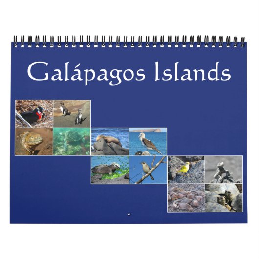 Calendrier Mural faune des Galapagos 2027 (Protection)