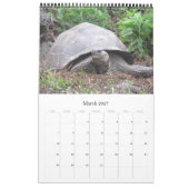 Calendrier Mural faune des îles Galapagos (Mar 2027)