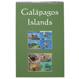 Calendrier Mural faune des îles Galapagos