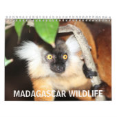 Calendrier Mural Faune du Madagascar (Protection)