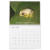 Calendrier Mural Faune du Madagascar (Mar 2027)
