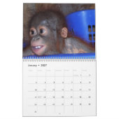Calendrier Mural Faune mignonne de singes (Jan 2027)