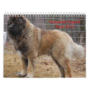 Calendrier Mural Ferme caucasienne de légende