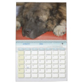 Calendrier Mural Ferme caucasienne de légende (Jan 2026)