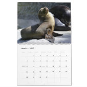 Calendrier Mural Fêtes des Phoques 2026 Faune (Mar 2027)