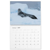 Calendrier Mural Fêtes des Phoques 2026 Faune (Jan 2027)
