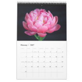 Calendrier Mural Fleurs de Pivoines (Feb 2027)