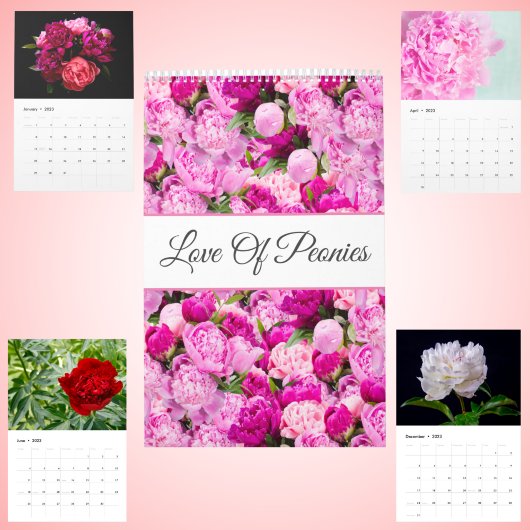 Calendrier Mural Fleurs de Pivoines