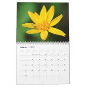 Calendrier Mural Fleurs et insectes (Feb 2027)