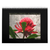 Calendrier Mural Fleurs sauvages de l'Australie (Protection)