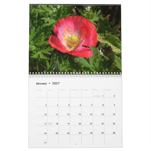 Calendrier Mural Fleurs sauvages du Texas (Jan 2027)