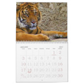 Calendrier Mural Focus & Force_2010 Calendrier-par Elenne Boothe (Jan 2027)