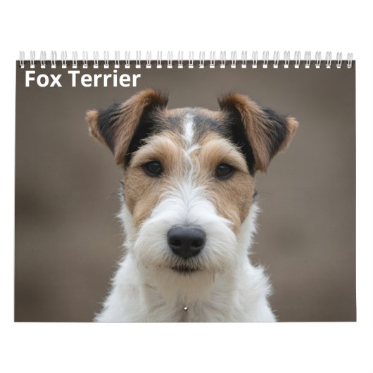 Calendrier mural Fox Terrier 2027 (Protection)