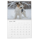 Calendrier mural Fox Terrier 2027 (Jan 2027)