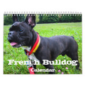 Calendrier Mural French Bulldog Custom Calendar Ajouter Photos d'an (Protection)
